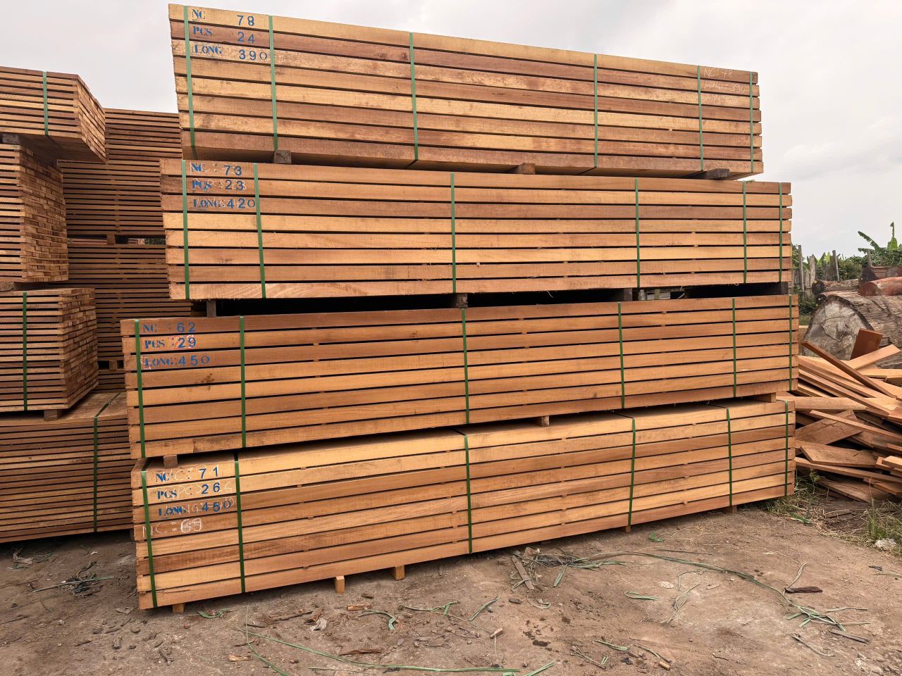 Iroko hardwood boards stacked in bundles